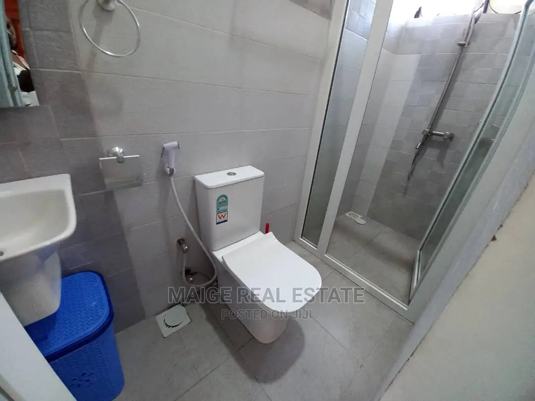 Furnished 1bdrm Apartment in Mikocheni for Rent