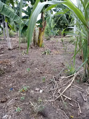 Plot for Sale at Kigamboni Fan City