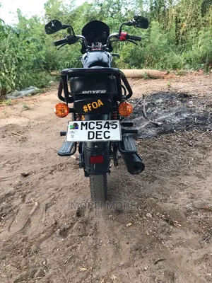 Bajaj Boxer 100 2022 Purple