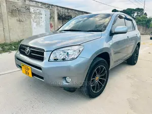 Toyota RAV4 2007 Gray