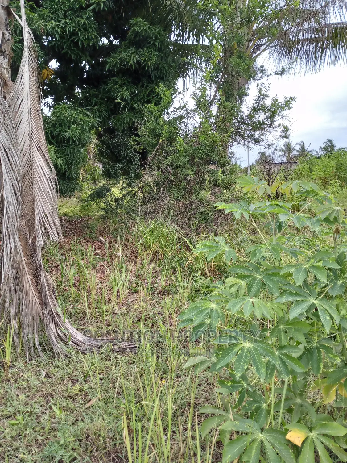 Plot for Sale at Kigamboni