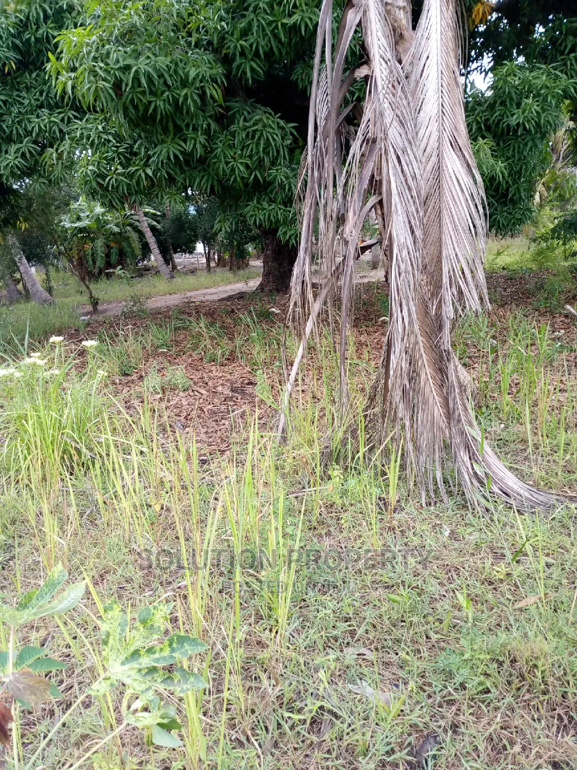 Plot for Sale at Kigamboni