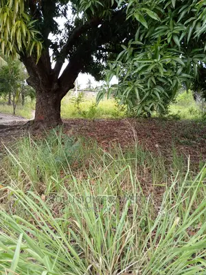 Plot for Sale at Kigamboni