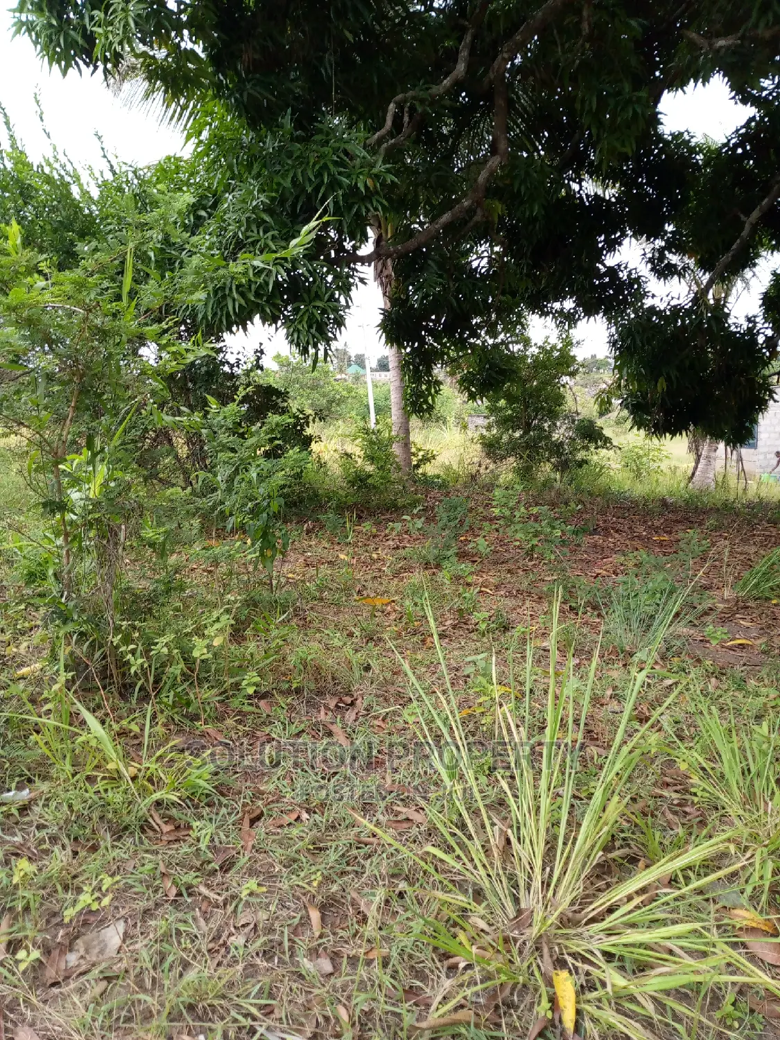 Plot for Sale at Kigamboni