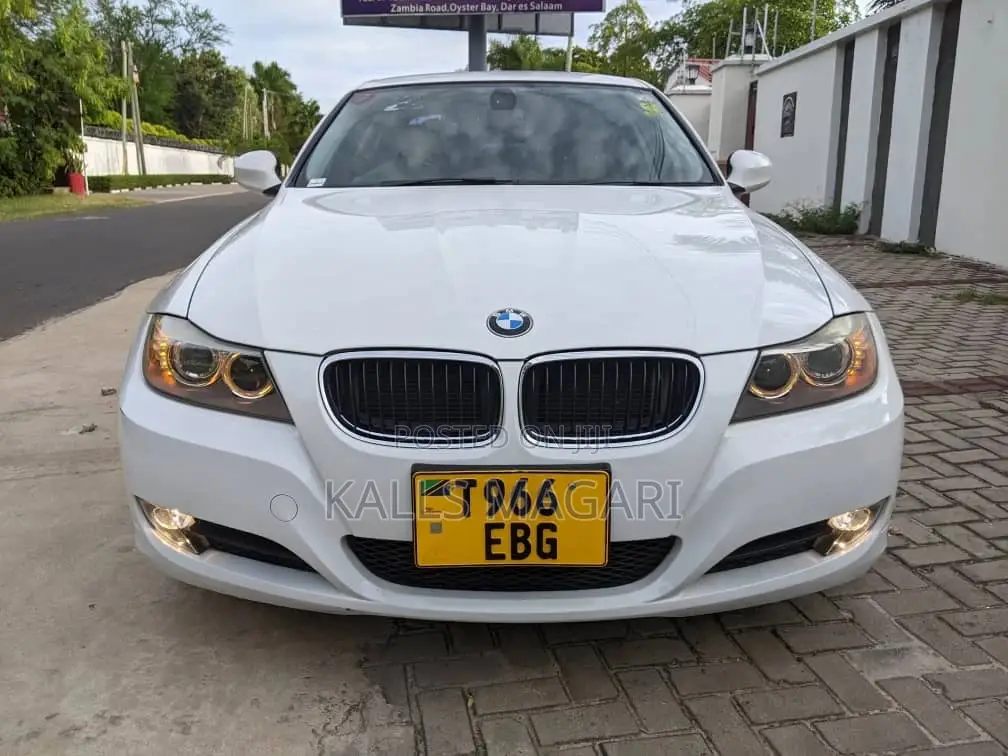BMW 3 Series 2010 White