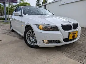 BMW 3 Series 2010 White
