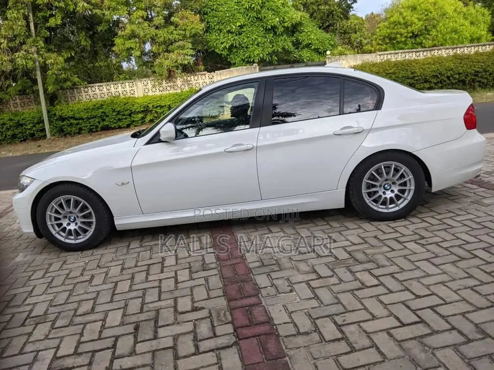 BMW 3 Series 2010 White