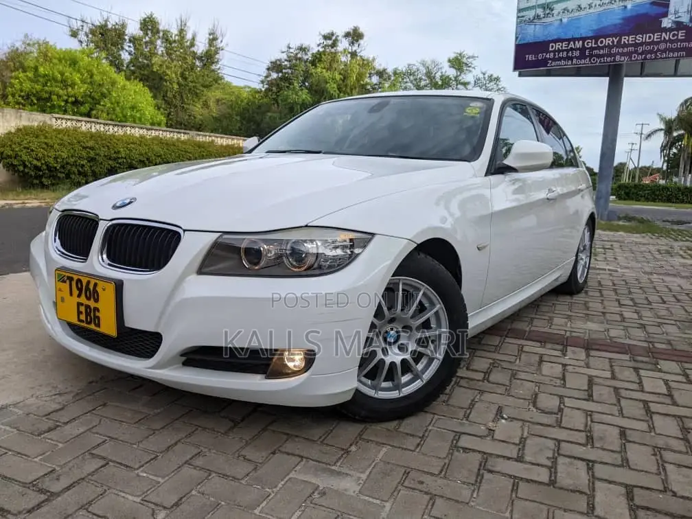 BMW 3 Series 2010 White