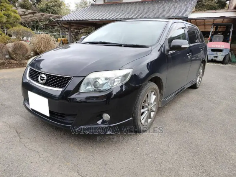 Toyota Corolla Fielder 2010 Black