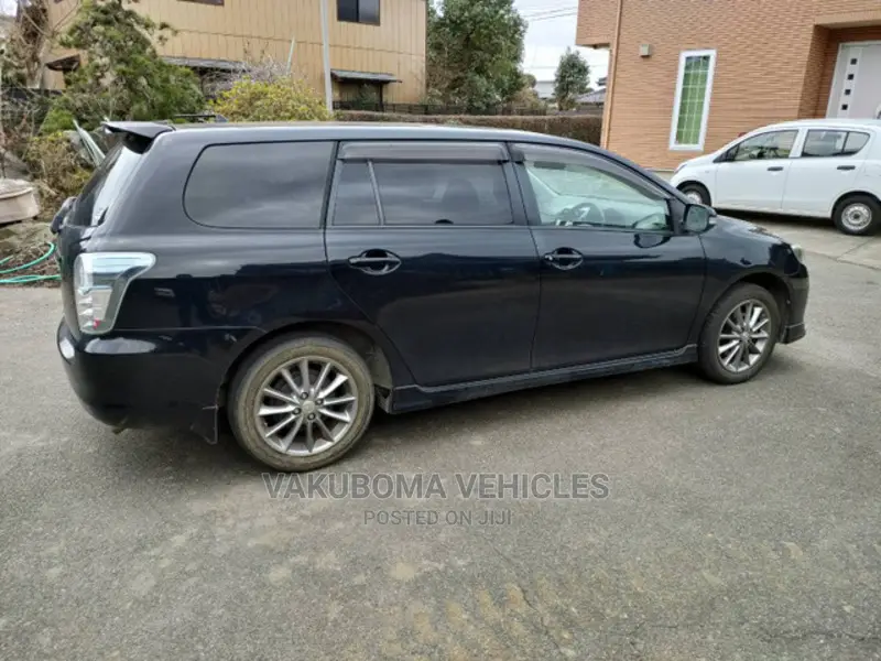 Toyota Corolla Fielder 2010 Black