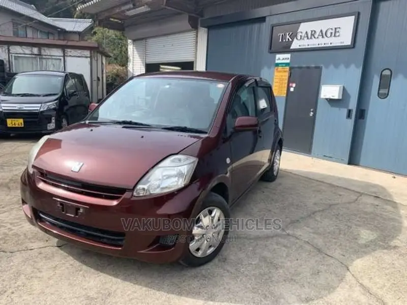 Toyota Passo 2009 Brown