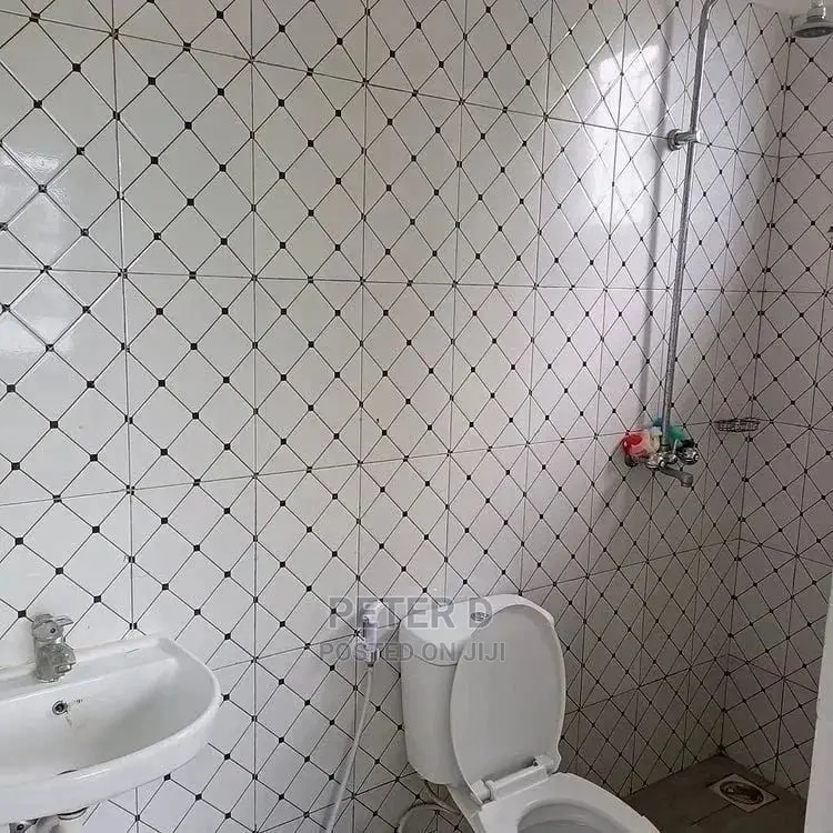 2bdrm Apartment in Kijitonyama for rent