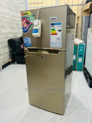 Fridge Yenye Ujazo Wa Lita 118
