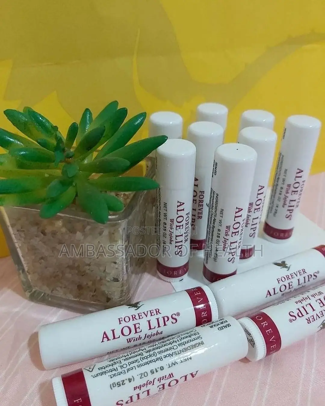 Aloe Lips Kuzui Mdomo Usipasuke Mara Kwa Mara