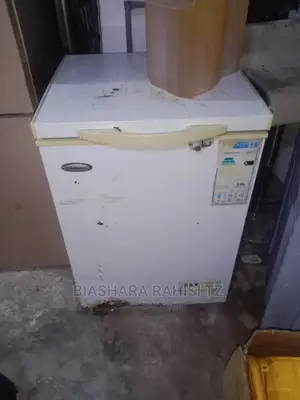 Freezer Lita 100