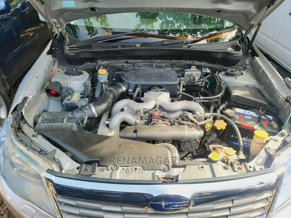 Subaru Forester 2010 Silver