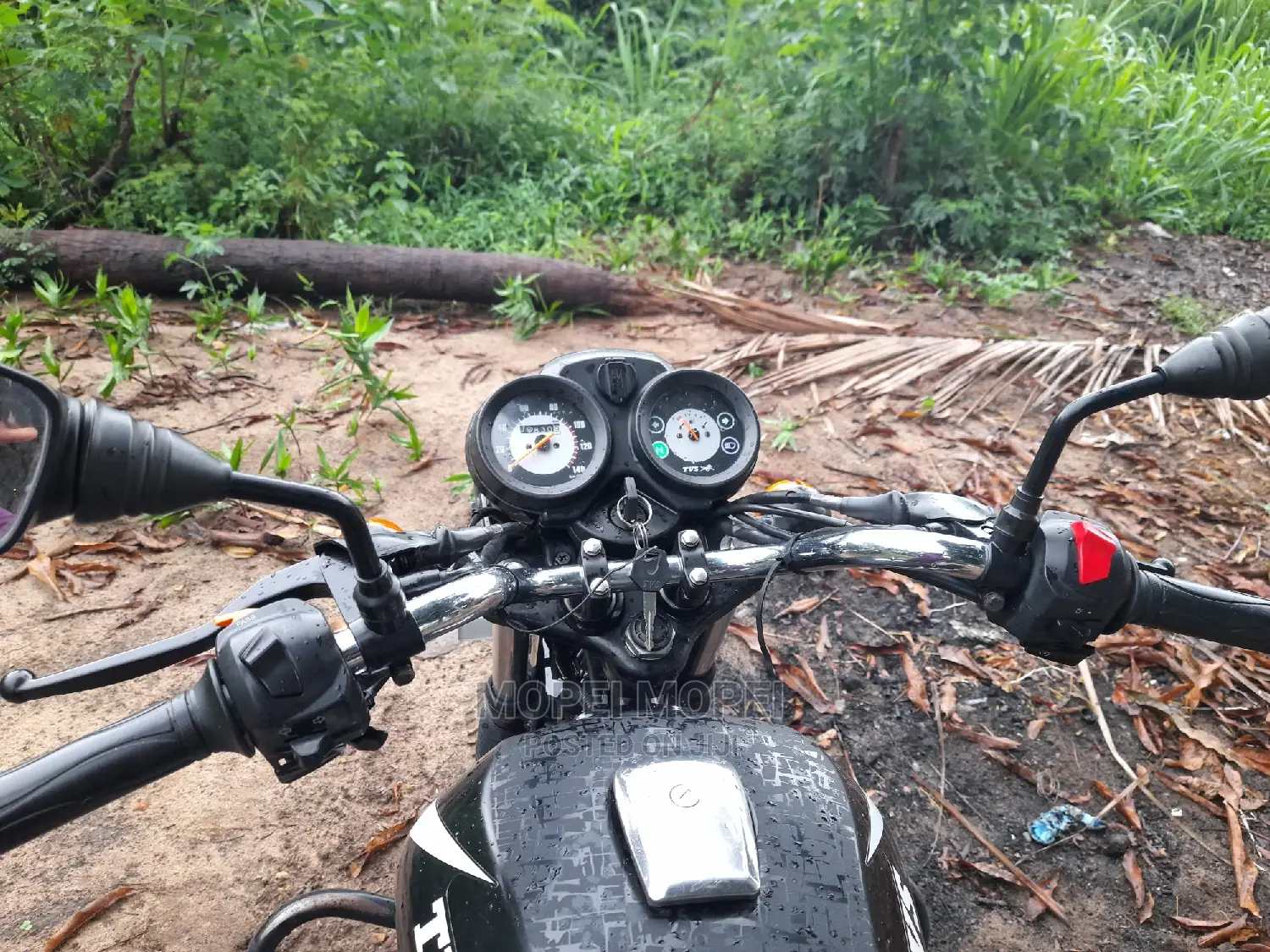 TVS 2022 Purple