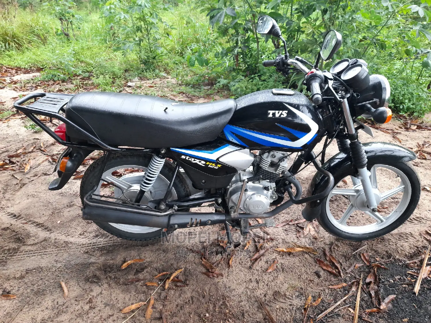 TVS 2022 Purple