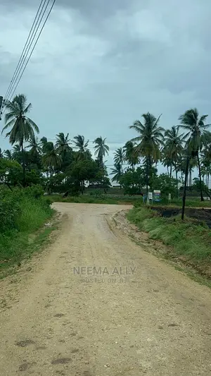 Beach Plots (Viwanja Karibu Na Fukwe Za Bahari)