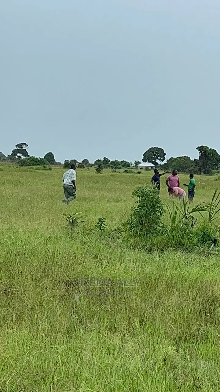 Viwanja Bei Ya Offa Ya Mwezi Mmoja