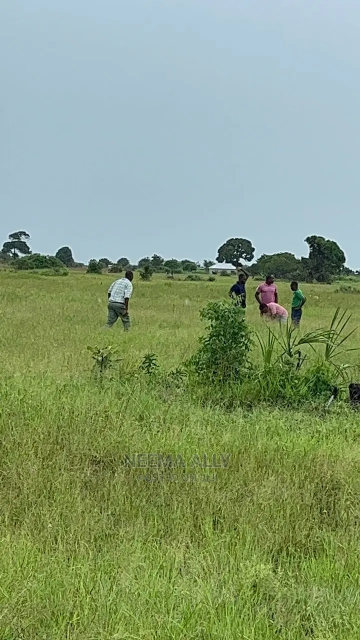 Viwanja Bei Ya Offa Ya Mwezi Mmoja