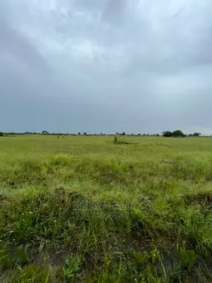 Viwanja Vilivyopimwa Kwa Bei Nafuu