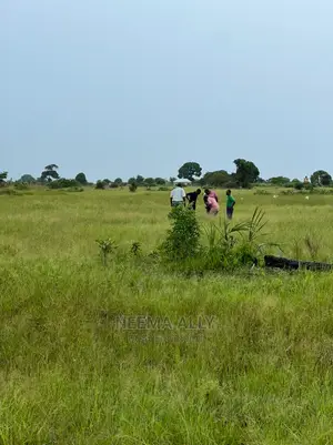 Viwanja Vilivyopimwa Kwa Bei Nafuu