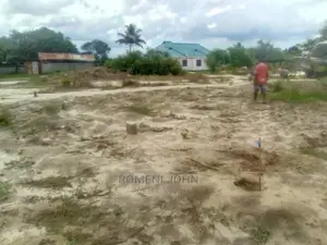 Eneo La Kiwanja Kinauzwa Milioni 3.5 Ukonga Majohe Viwege.