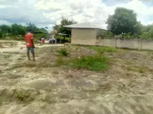 Eneo La Kiwanja Kinauzwa Milioni 3.5 Ukonga Majohe Viwege.