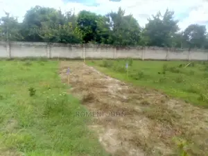 Eneo La Makazi Na Biashara Linauzwa Milioni Tatu Na Nusu.