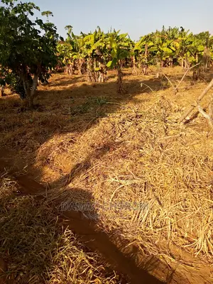 Jipatie Mashamba Bora Kwa Bei Rahisi Mno Acre Moja 150000