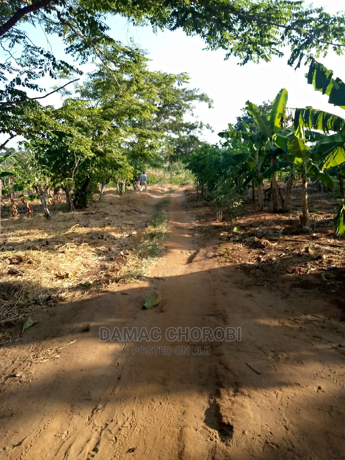 Jipatie Mashamba Bora Kwa Bei Rahisi Mno Acre Moja 150000