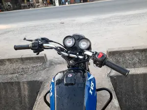 TVS 2021 Purple