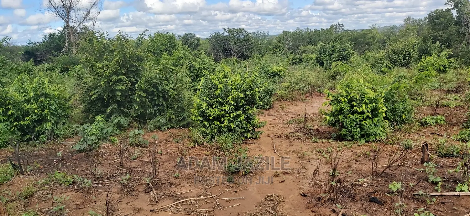 Shamba La Ekari 200 Linauzwa Kiwangwa Bagamoyo