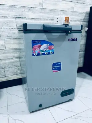 Fridge Lita 100