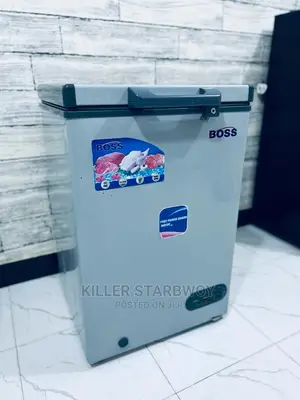 Fridge Lita 100