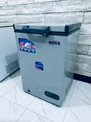 Fridge Lita 100