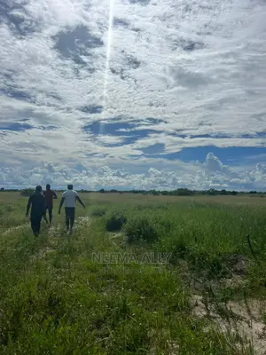 Viwanja Vya Mbutu Karibu Bahari
