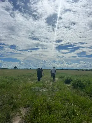 Viwanja Vya Mbutu Karibu Bahari