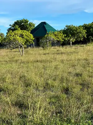 Kigamboni Puna Karibu Na Bahari