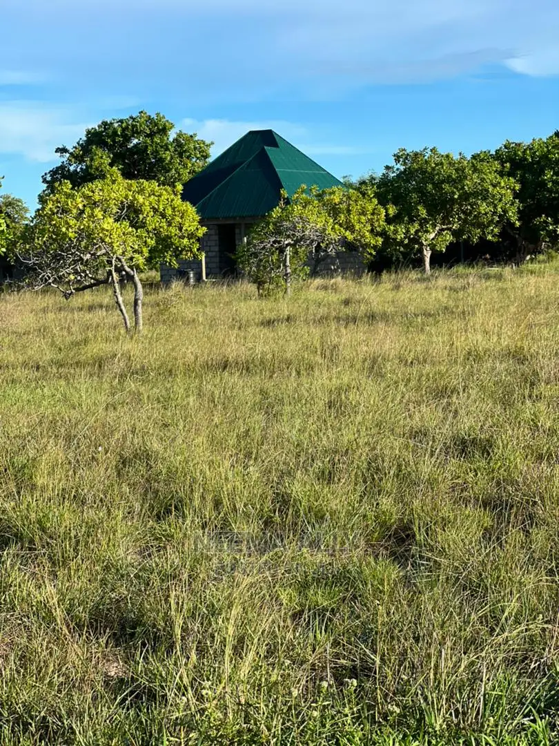 Kigamboni Puna Karibu Na Bahari