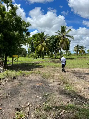 Kigamboni Puna Karibu Na Bahari