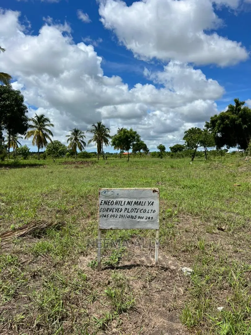 Kigamboni Puna Karibu Na Bahari