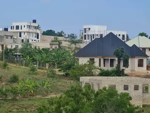 Kiwanja Cha Kishua