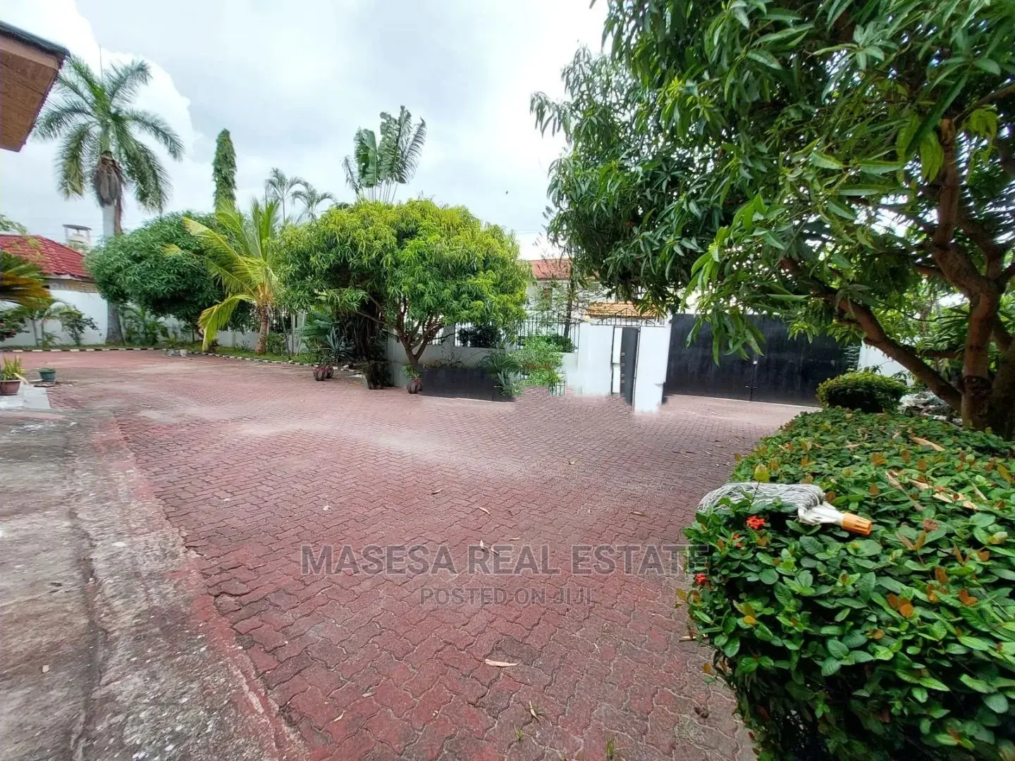 4bdrm House in Mikocheni for Rent