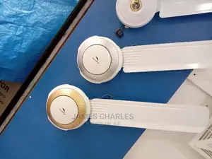 High Speed Dolphin Fans