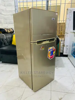 Fridge Boss Lita 118