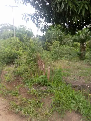 Shamba Kuwa Acre 1500 for Sale Iringa Farmhouse