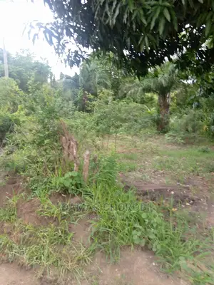 Shamba Kuwa Acre 1500 for Sale Iringa Farmhouse