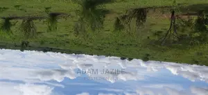 Shamba La Ekari 5 Linauzwa Bago Kiwangwa